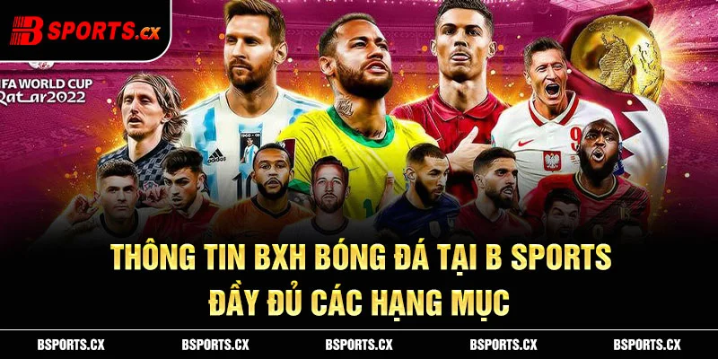 Thông tin bxh bóng đá tại B sports đầy đủ các hạng mục