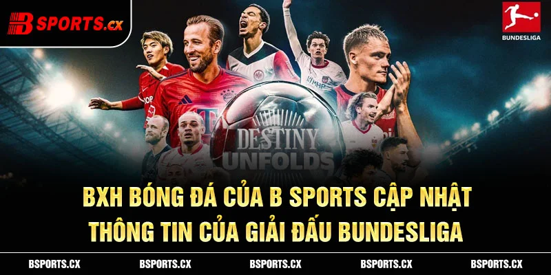 Bxh Bsports - bảng xếp hạng bóng đá của B sports cập nhật thông tin của giải đấu Bundesliga.